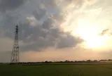 田んぼ
