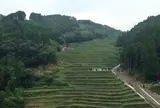 八女市星野村広内