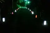 大山豆腐坂
