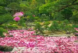 由志園