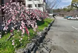 富士山本宮浅間大社 第一駐車場