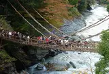 祖谷のかずら橋