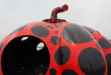 赤かぼちゃ