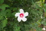 香川に来たよ！