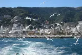 初島