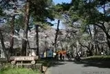 大宮公園
