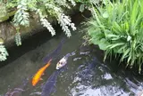 いがわこみち