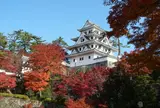 郡上八幡城