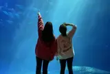 のとじま水族館