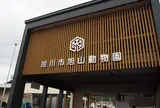 旭川市旭山動物園