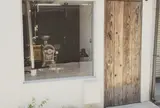 六月の鹿