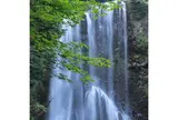 善五郎の滝