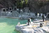 上野動物園