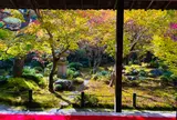 圓光寺