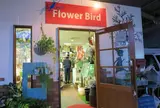 flower bird