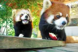大牟田市動物園