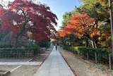 建仁寺