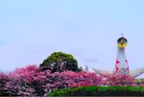 太陽の塔