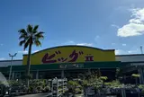 ビッグツー奄美店