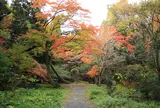 山吹水源