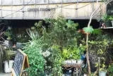 GREEN FINGERS