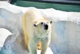 上野動物園