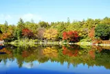 国営昭和記念公園