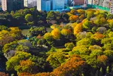 小石川後楽園