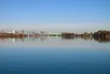 矢切の渡し