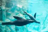 よこはま動物園ズーラシア