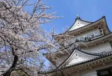 小田原城
