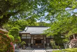 報国寺（竹寺）