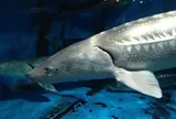 京急油壺マリンパーク