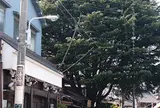 みかどパン店