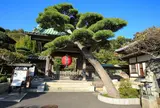 長谷寺