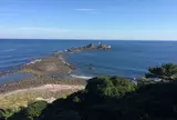 ケープ真鶴
