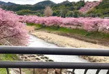 かわづいでゆ橋