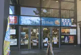 真鶴町立　遠藤貝類博物館
