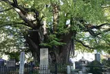 善福寺