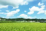 ビルネラーデン