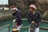 小袖海女センター