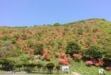 恵山つつじ公園