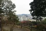 富士山公園