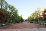 エスプラナーディ通り - Esplanadi