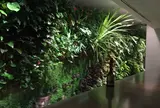 WALL