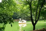 井の頭恩賜公園