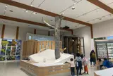妙高高原ビジターセンター