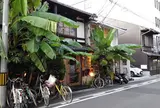 Cafe Bibliotic Hello