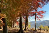 宝登山