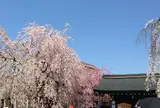 角館樺細工伝承館